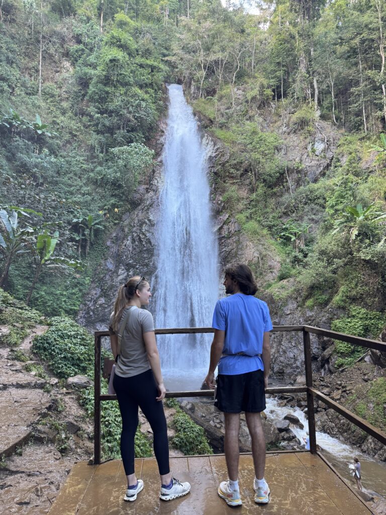 c6f08230 3790 43c0 97fc f7227efea3ff