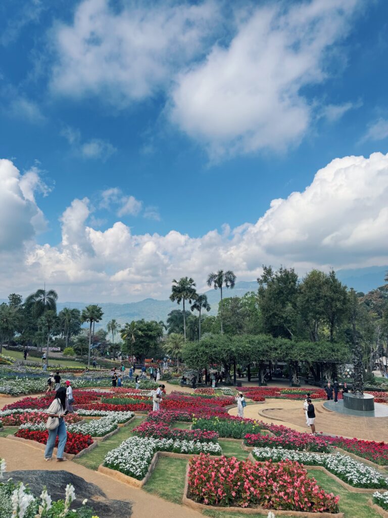 doi-tung-chiang-rai.jpg